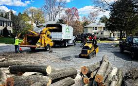 Best Tree Trimming and Pruning  in Lakeside, VA